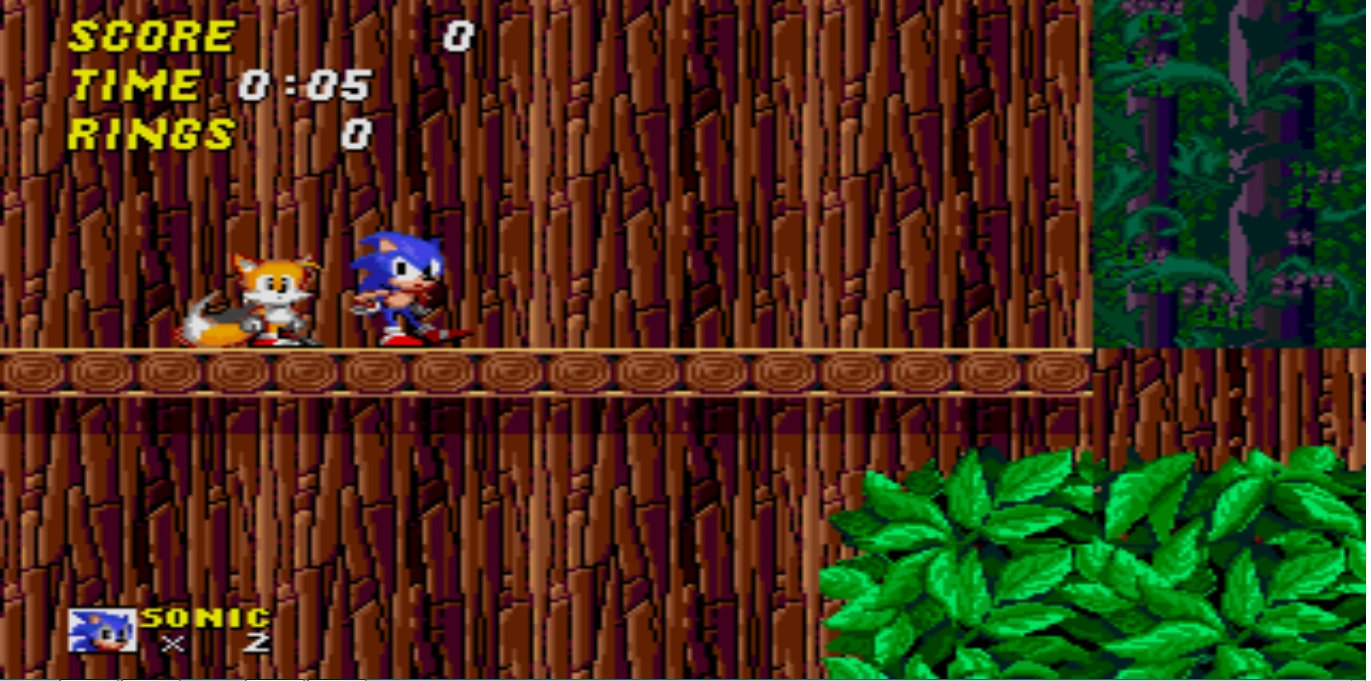 Wood Zone Sonic beta Wiki Fandom