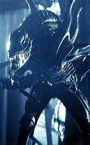 Xenomorph
