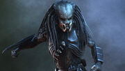 Predator 01