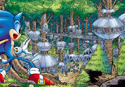 Knothole of the future