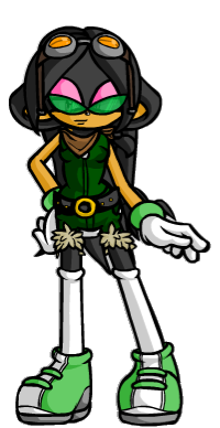 Obraz SonicFanon12