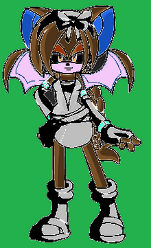 Obraz SonicFanon5