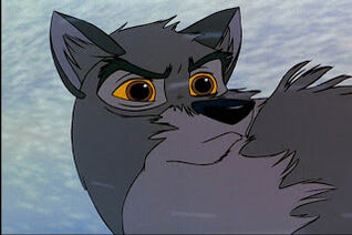 Balto.
