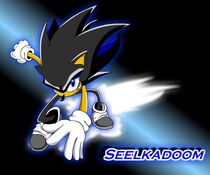 Seelkadoom image 1