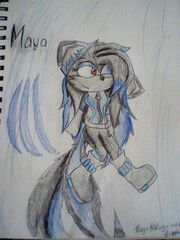 Maya 83
