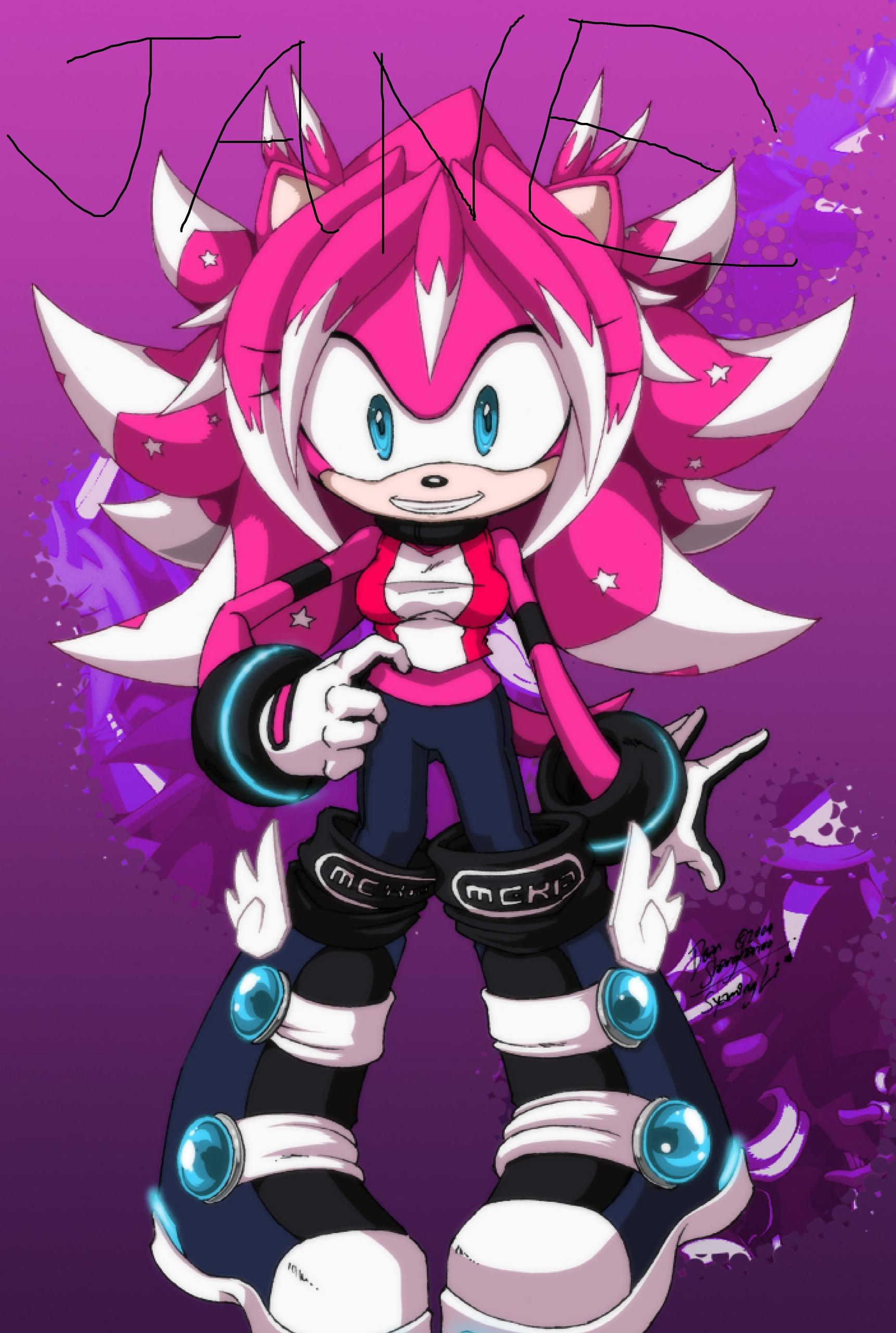 https://vignette.wikia.nocookie.net/sonicsociety/images/9/95/Jane-TheHedgehog-sonic-girl-fan-characters-17130734-1721-2560.jpg/revision/latest?cb=20130928204229