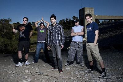 12 zebrahead8 large
