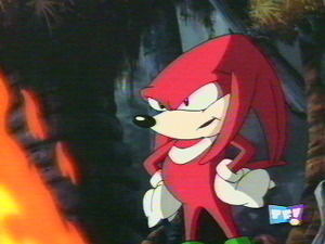 Knuckles