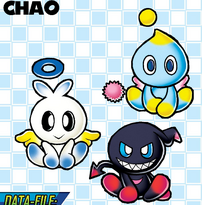 Chao