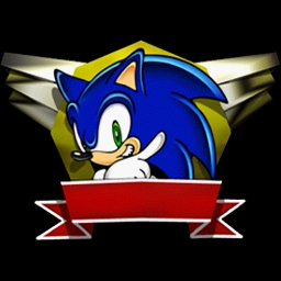 Image result for sonic adventure emblems