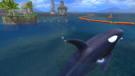 StH(2006) Orca 2