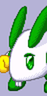 Lepus
