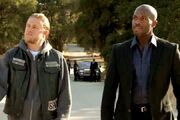 Sons-of-anarchy