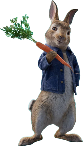 Image result for peter rabbit