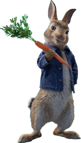 Peter Rabbit | Sony Pictures Animation Wiki | FANDOM powered by Wikia