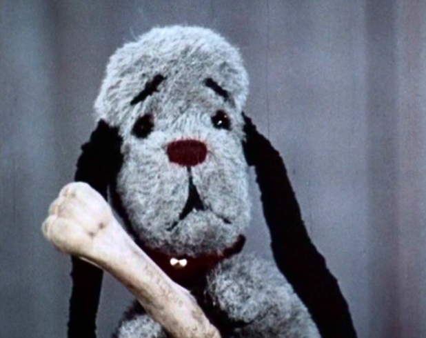 Sweep | Sooty Database Wiki | FANDOM powered by Wikia