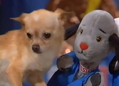 Kennels | Sooty Database Wiki | FANDOM powered by Wikia