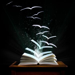 The Transmutation