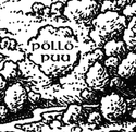 Pollopuu