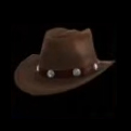 Cowboy Hat