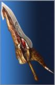 Siegfried's Soul Edge (Low Power)