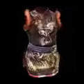 NobleGarment