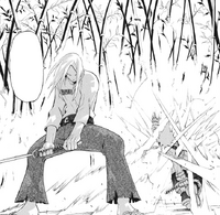 Soul Eater Chapter 28 - Mifune completes Multiple Slash