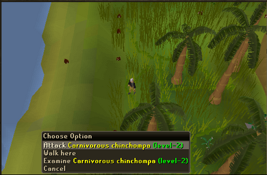 Carniverous chinchompas