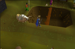Log balance gnome course
