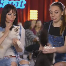 America S Got Talent Soundeffects Wiki Fandom
