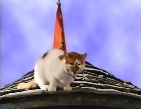 Cats Sound Effects Wav File
