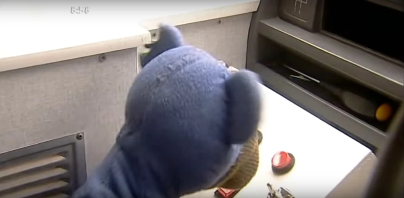 Hollywoodedge, Sheep Bleat Single Cl AT048501 Soundeffects Wiki Fandom