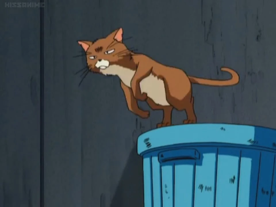 Anime Cat Meow Sound 2 Soundeffects Wiki Fandom