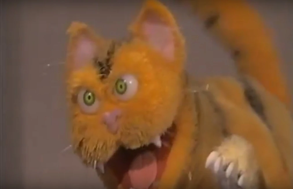 Hollywoodedge, Cat Domestic Growl Lo AT011101 Soundeffects Wiki Fandom