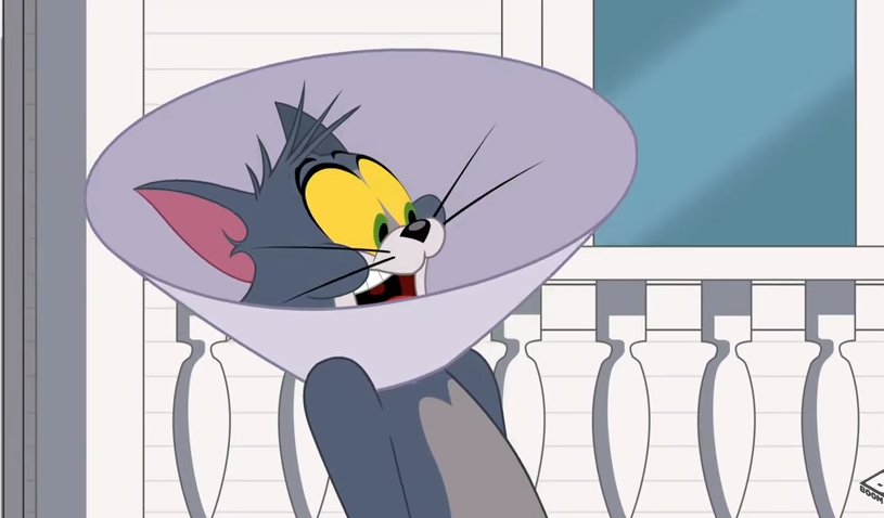 Tom scream. Tom and Jerry screaming. Tom and Jerry Scream. Scream Tom Jerry Scream. Шоу Тома и Джерри буч.