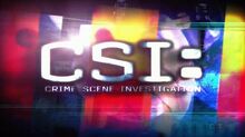 CSI-LV.main