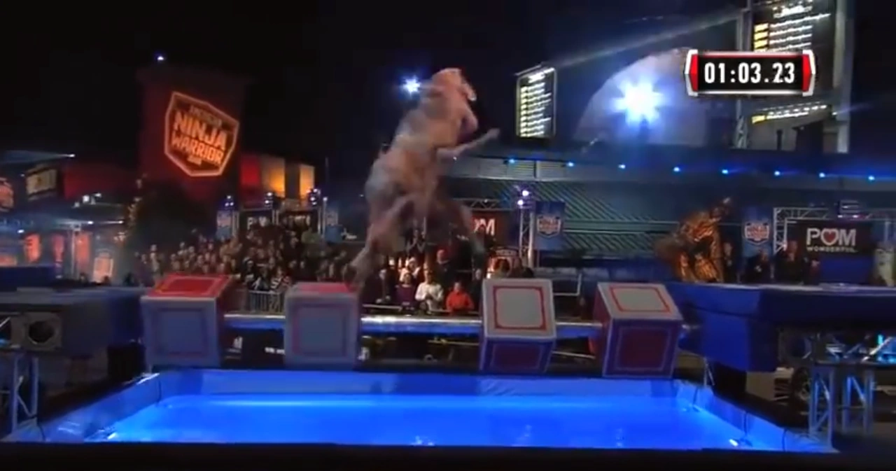 Hollywoodedge, Bull Roar Medium Pers PE022301/Image Gallery