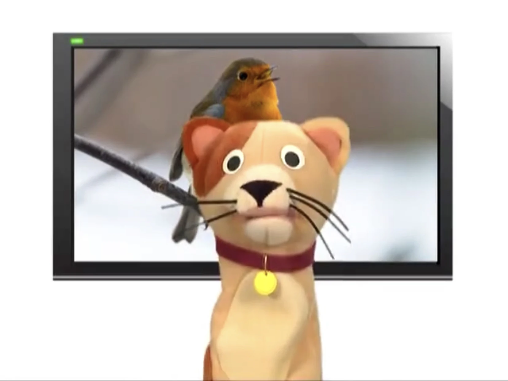 Sound Ideas, BIRD, BLUEBIRD BLUEBIRDS CHIRPING, ANIMAL Soundeffects