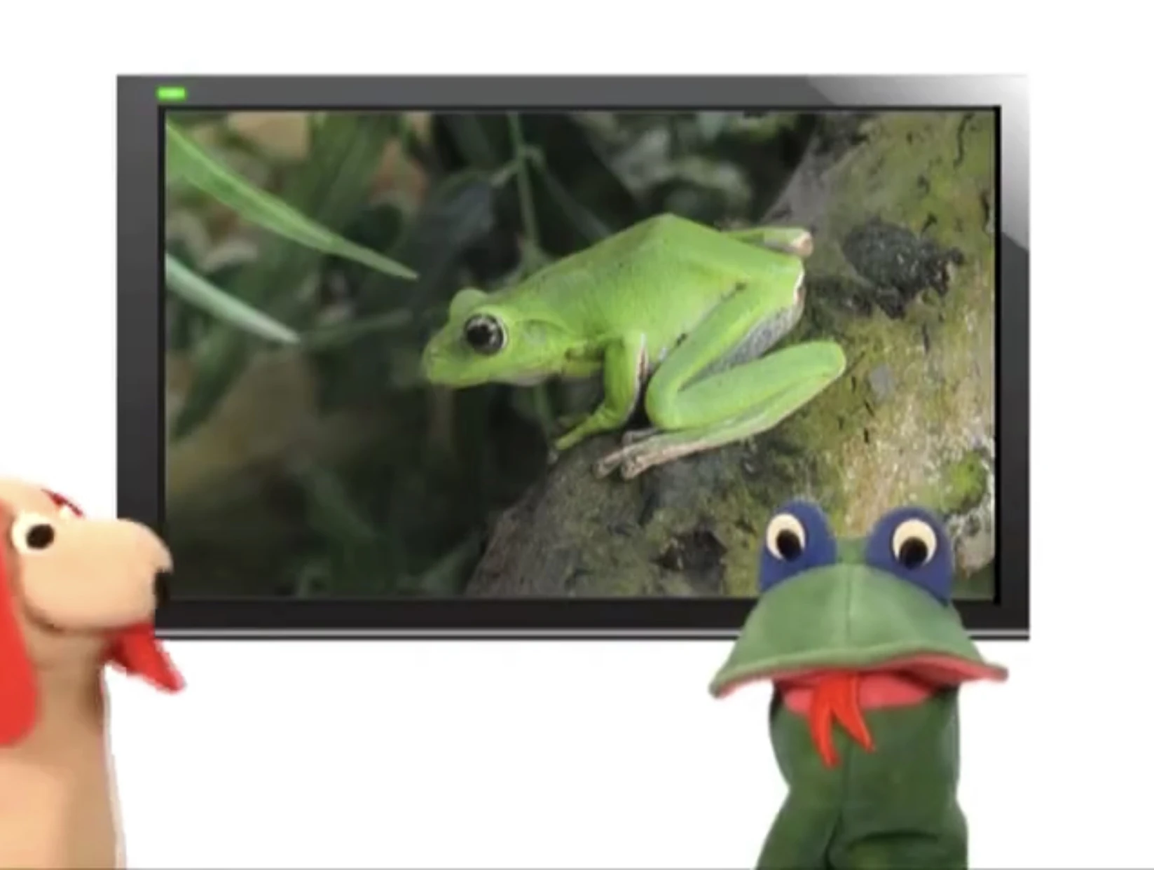 Sound Ideas, MARSH, NIGHT CRICKETS, FROGS, AMBIENCE, SWAMP