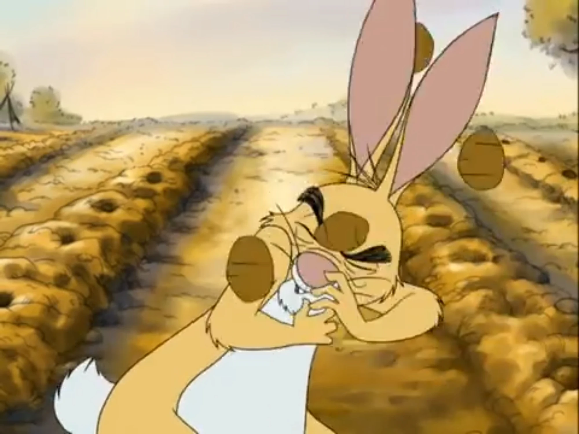 Disney's Learning Adventure Winnie the Pooh 123's (2004) (Videos