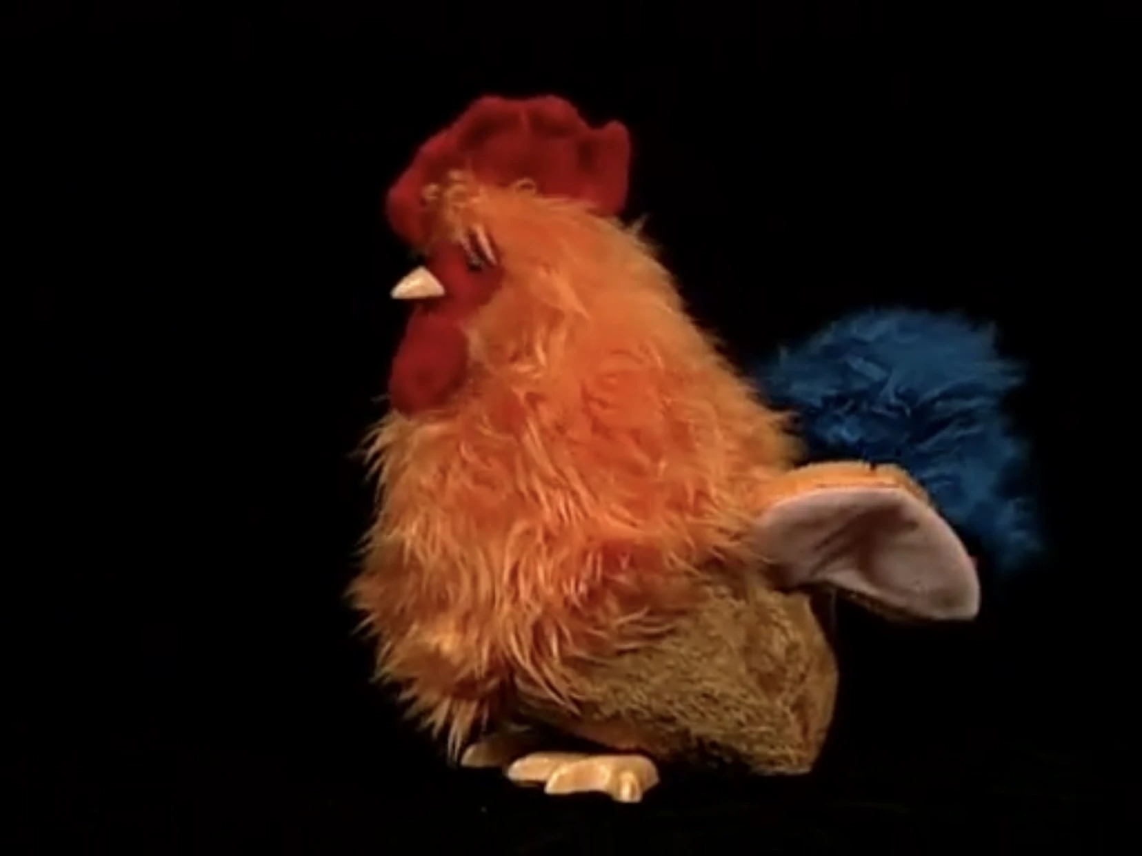 Hollywoodedge, Birds Chickens Cackl PE020301 Soundeffects Wiki Fandom