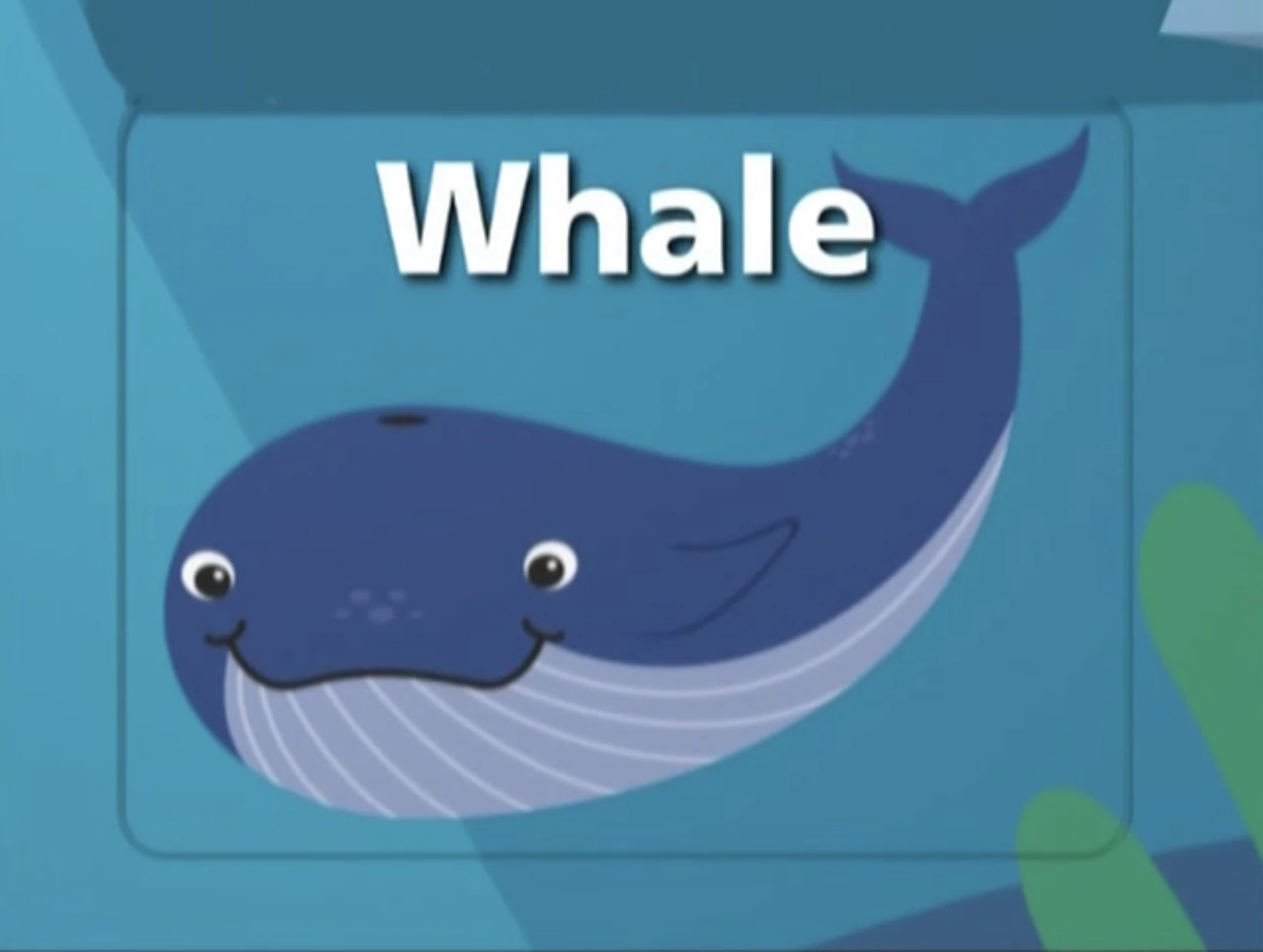 Sound Ideas, WHALE WHALE SONG, ANIMAL Soundeffects Wiki Fandom