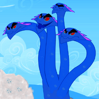 Hydra