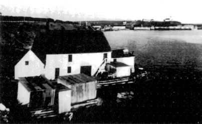 Matthew and McLean Lobster Factory Breakwater St