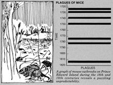 Mice Plague Chart