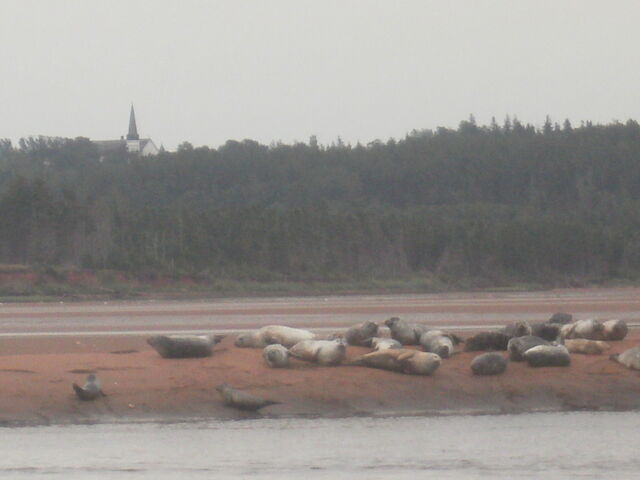 File:P8090075.jpg