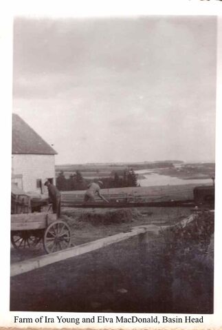 File:Farm of Ira Young and Elva MacDonald Basin Head.jpg