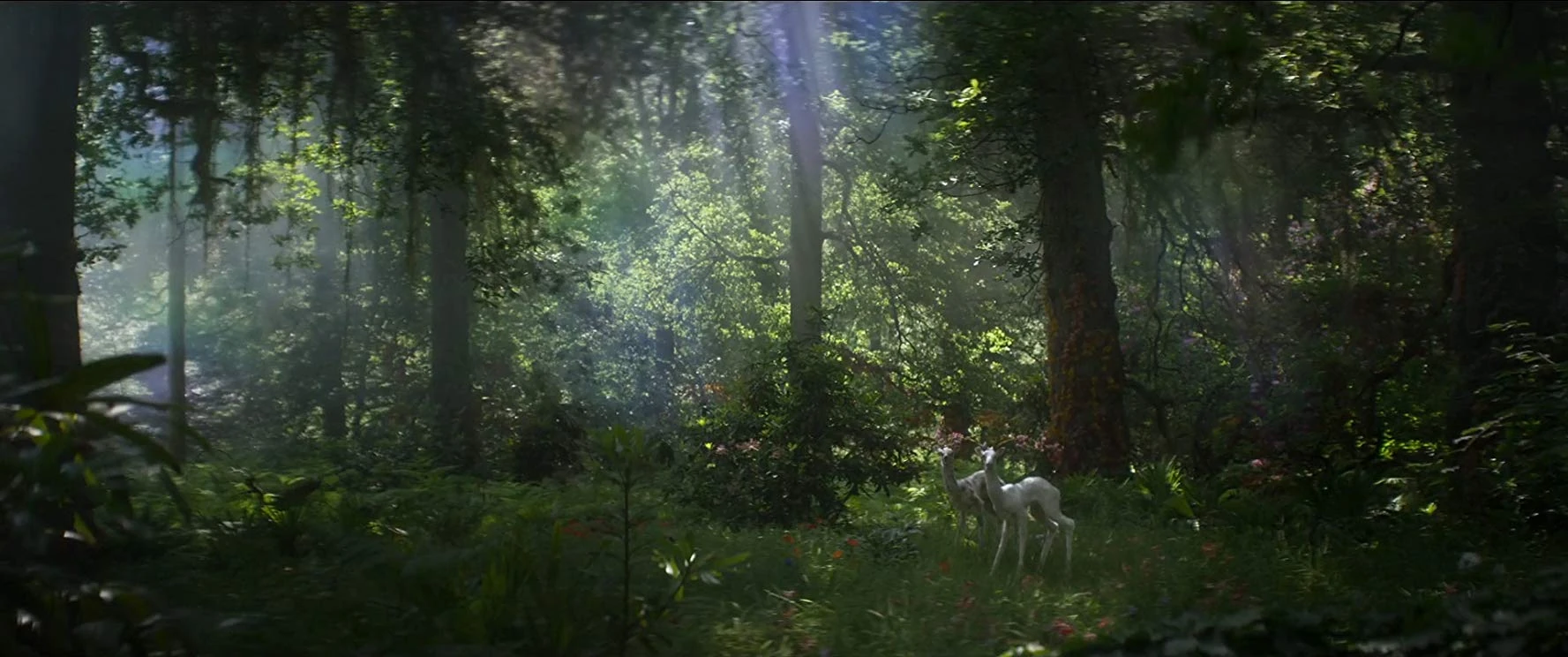 Area X | Southern Reach Wiki | FANDOM powered by Wikia