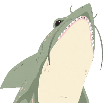 Tardicaca Shark South Park Archives Fandom