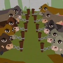 Cows South Park Archives Fandom